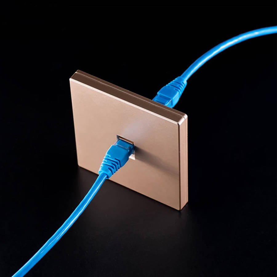 CAT.6 Shielded Pass-through Network Module, Single Port Panel + Shielded Pass-through, Single Por...