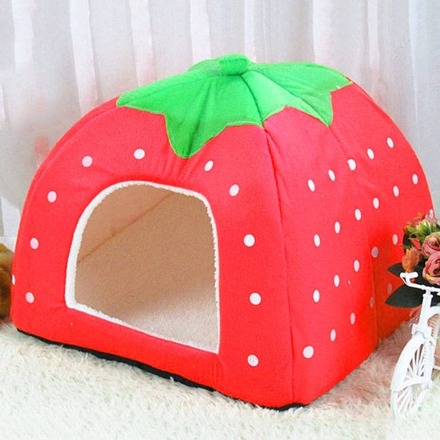Strawberry Shaped Foldable Short Plush Pet House Nest, Size: M, Purple, Size M, Red, Size M, Pink...