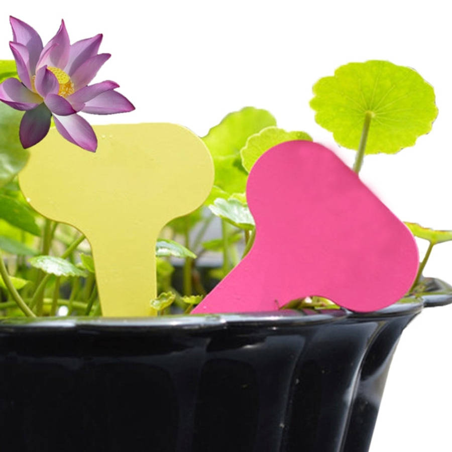 100PCS Floral Label Gardening Label Waterproof small card Insert Label Potted Label,Random Color ...
