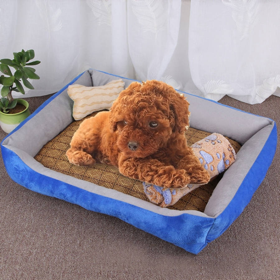 Dog Bone Pattern Big Soft Warm Kennel Pet Dog Cat Mat Blanket, with Rattan Mat & Blanket Size: L,...