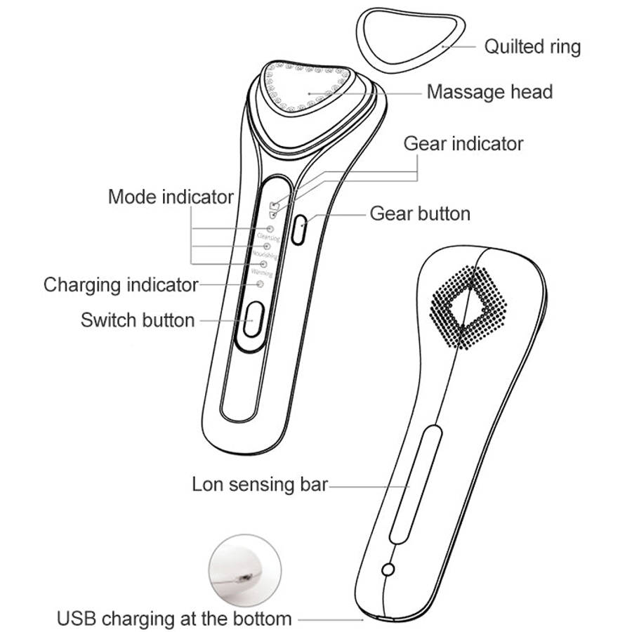 BLK-D020 Ion Import and Export Instrument Facial Beauty Massage Instrument Heating Vibration Ffac...