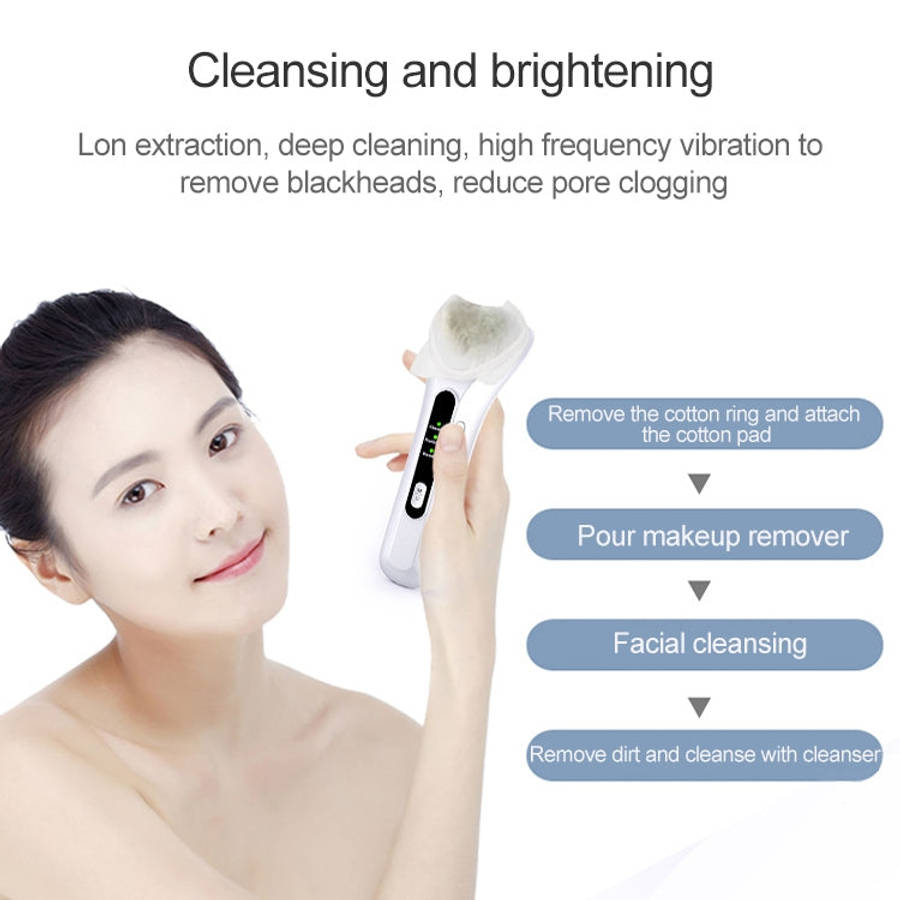 BLK-D020 Ion Import and Export Instrument Facial Beauty Massage Instrument Heating Vibration Ffac...