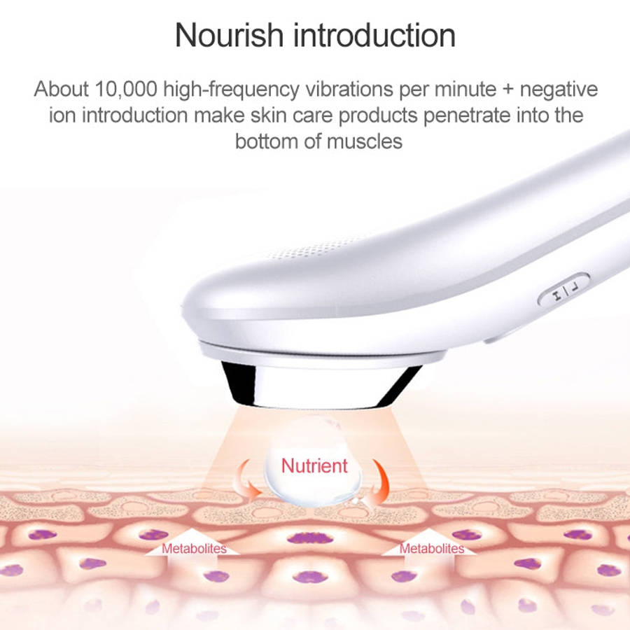 BLK-D020 Ion Import and Export Instrument Facial Beauty Massage Instrument Heating Vibration Ffac...