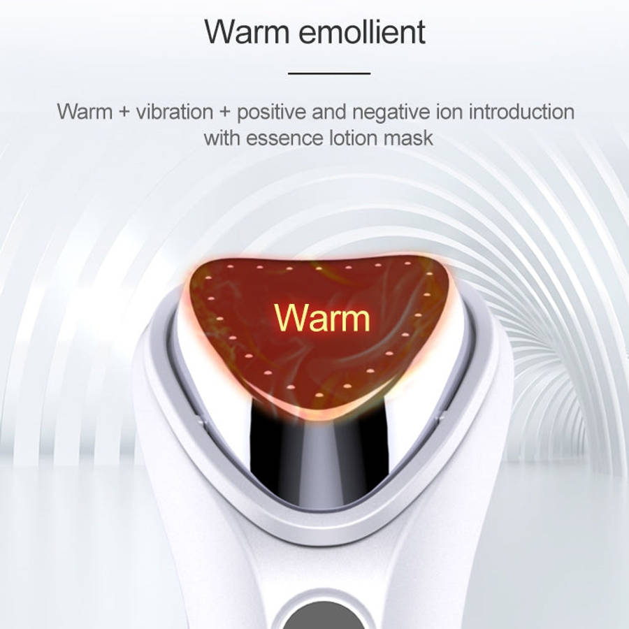 BLK-D020 Ion Import and Export Instrument Facial Beauty Massage Instrument Heating Vibration Ffac...