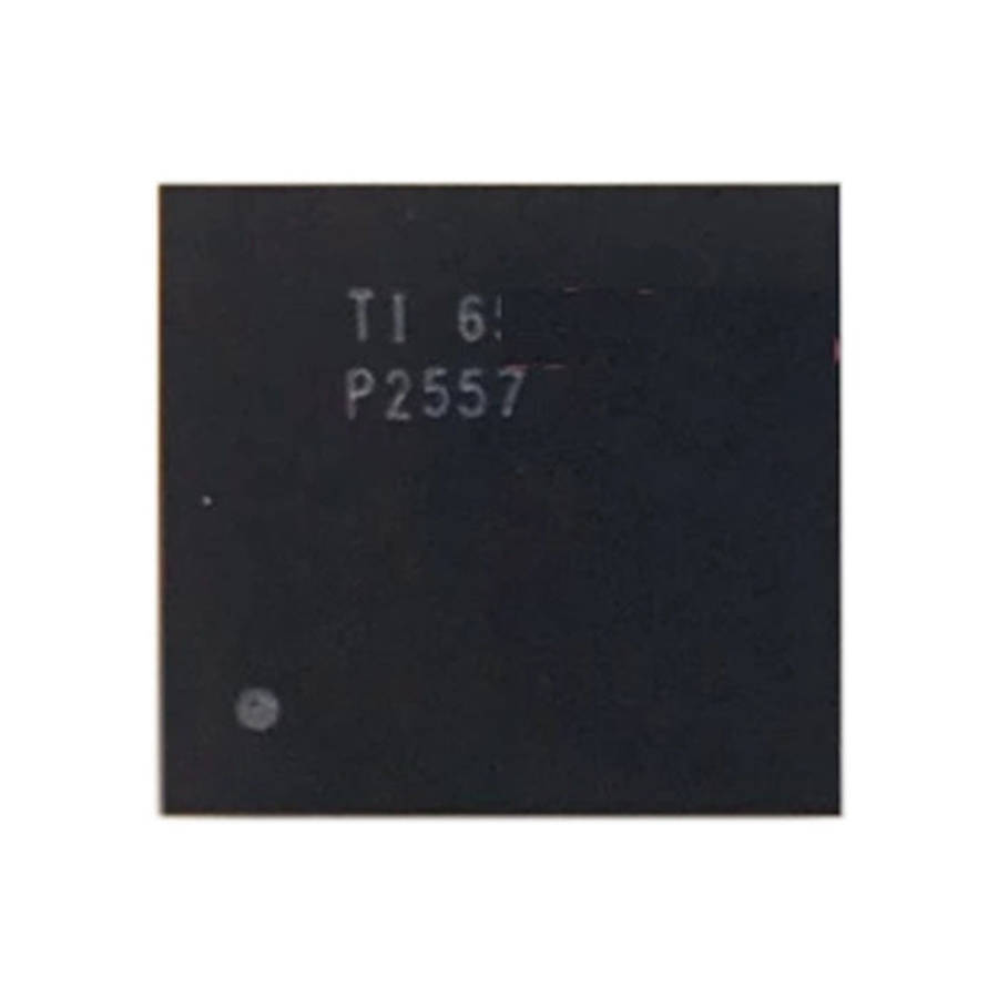 Audio IC Module P2557, P2557