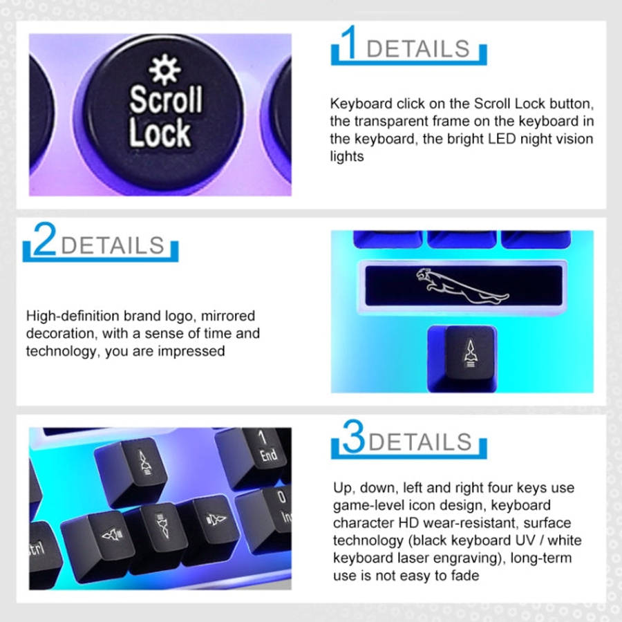 Chasing Leopard G21 USB 104-keys Waterproof Floating Round Punk Keycap Colorful Backlight Mechani...