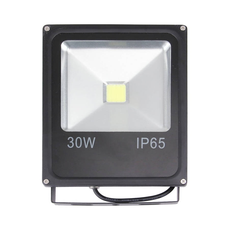 2700LM Lamp, AC 85-265V, 30W/2700LM White, 30W/2700LM Warm White