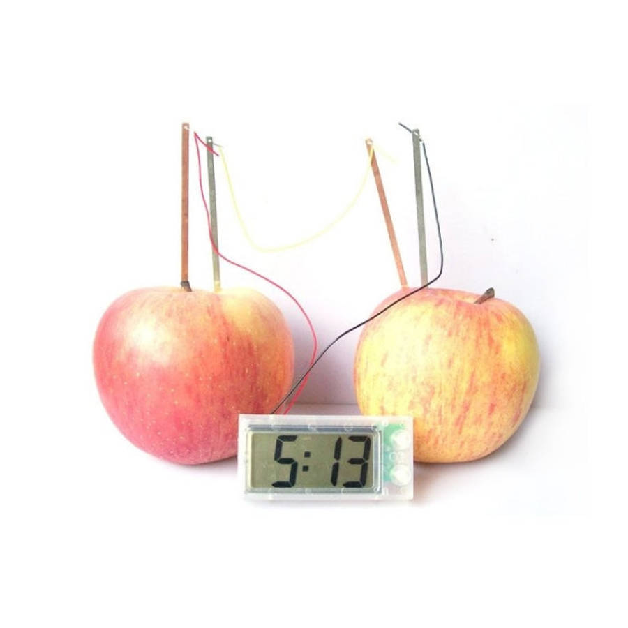 DIY Novel Green Science Potato Digital Clock Educational Kit with 2 inch LCD Screen (Potato NOT I...