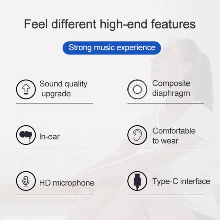 USB-C / Type-C Interface In Ear Wired Mega Bass Earphone with Mic