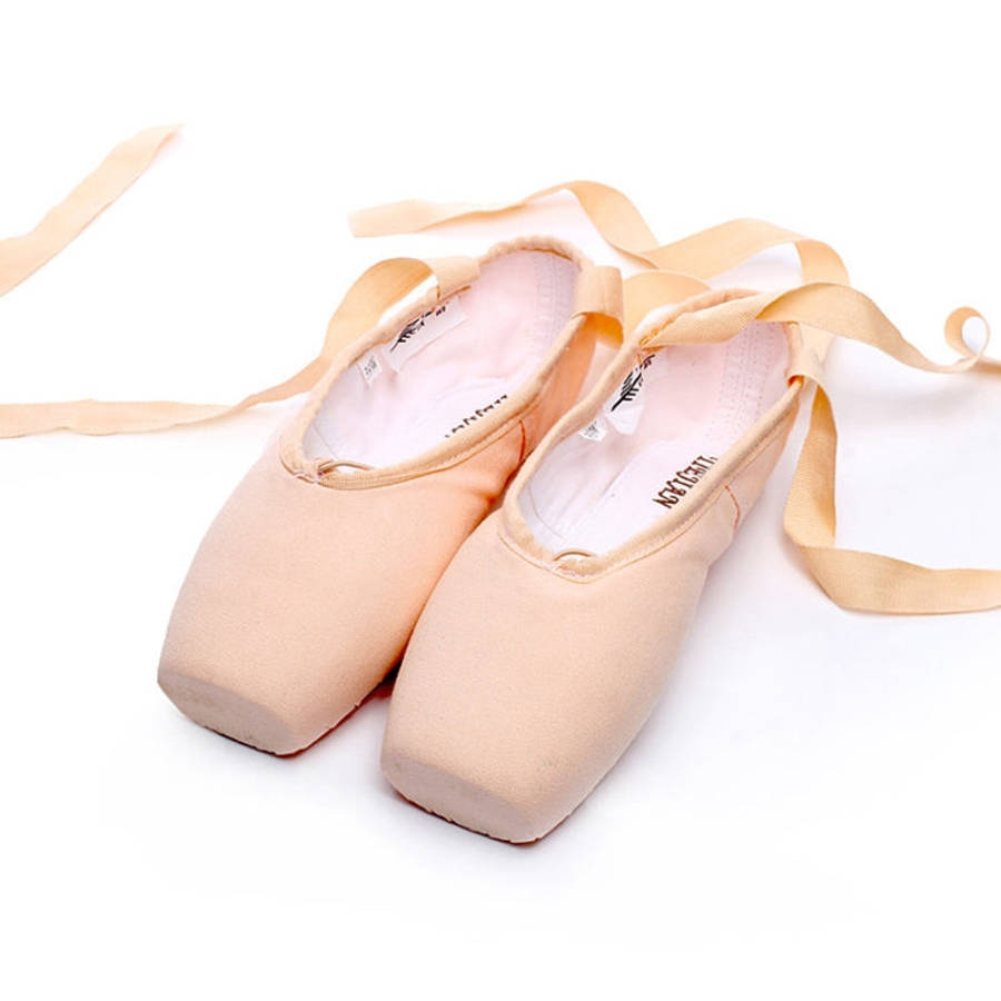 Ballet Lace Pointe Shoes Professional Flat Dance Shoes, 39, 40, 41, 42, 43, 44