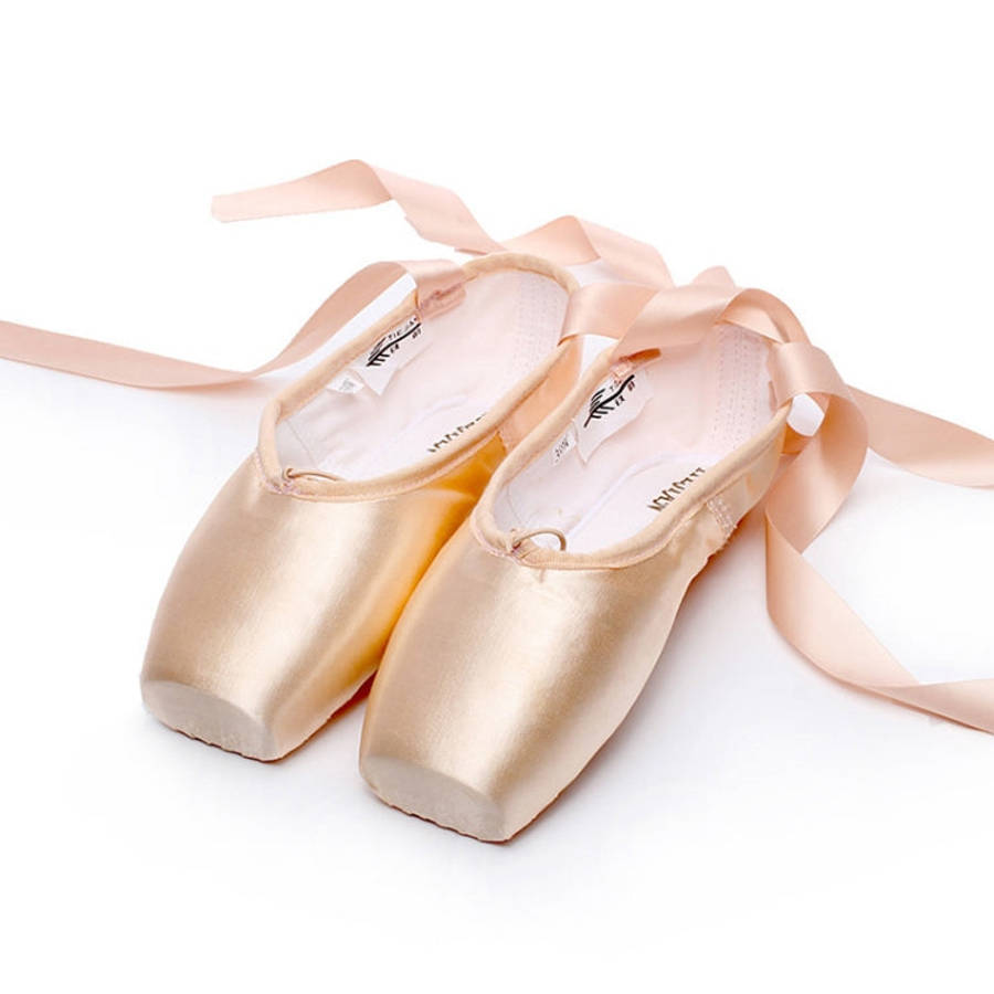 Ballet Lace Pointe Shoes Professional Flat Dance Shoes, 39, 40, 41, 42, 43, 44