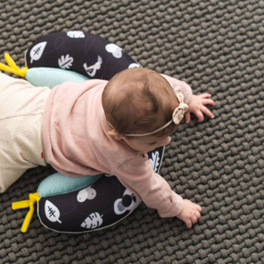 Taf Toys 2 in 1 Tummy Time Pillow