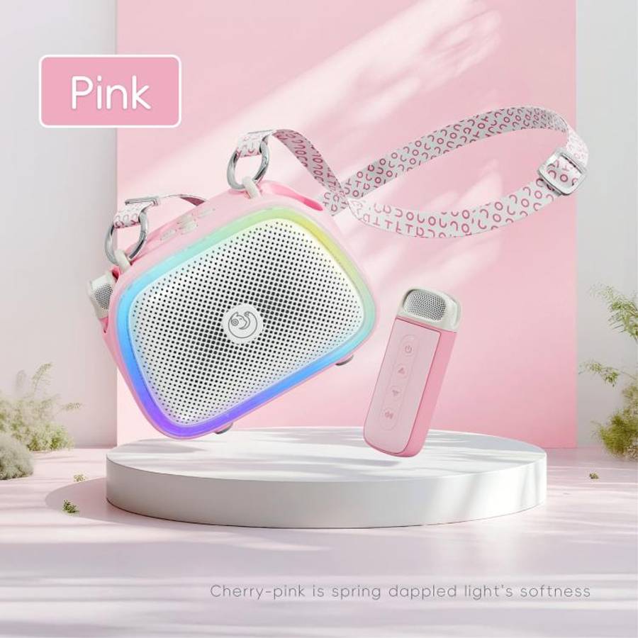 C22 Portable Karaoke Wireless Speaker with Microphone