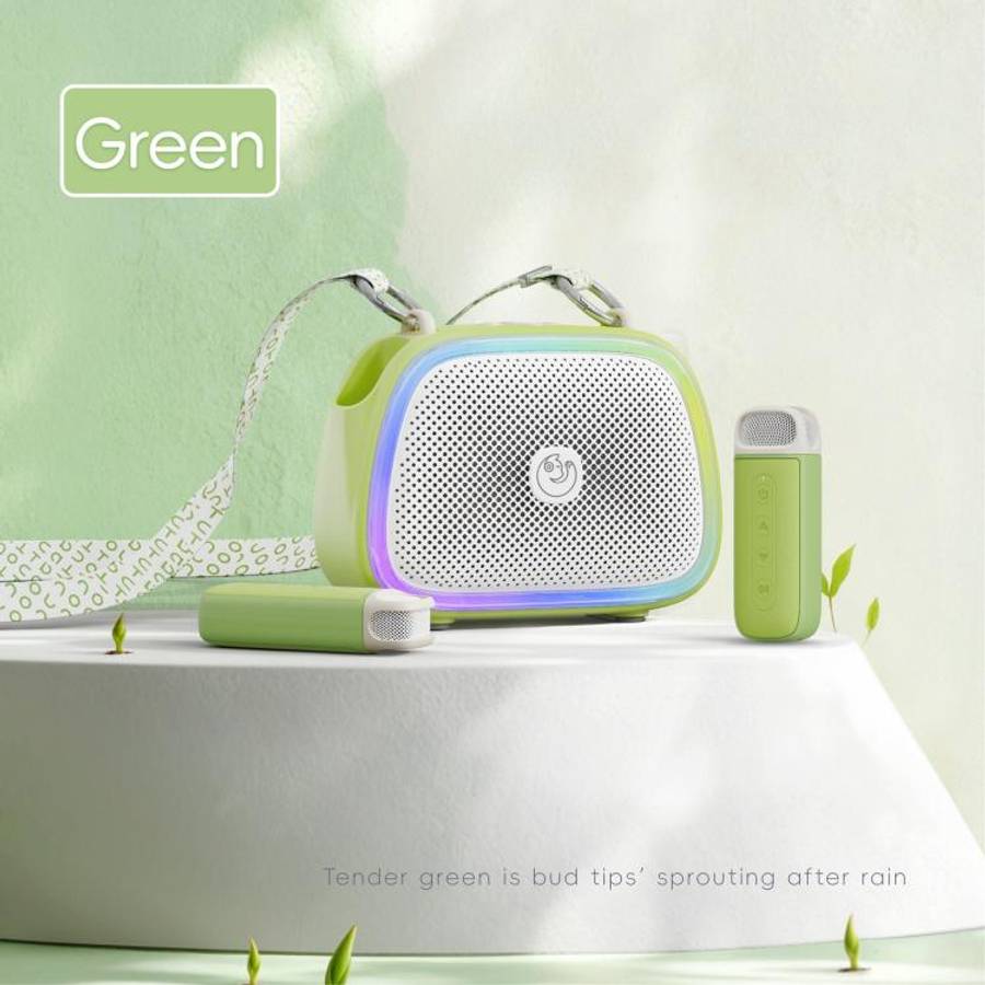 C22 Portable Karaoke Wireless Speaker with Microphone