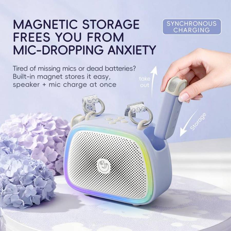 C22 Portable Karaoke Wireless Speaker with Microphone