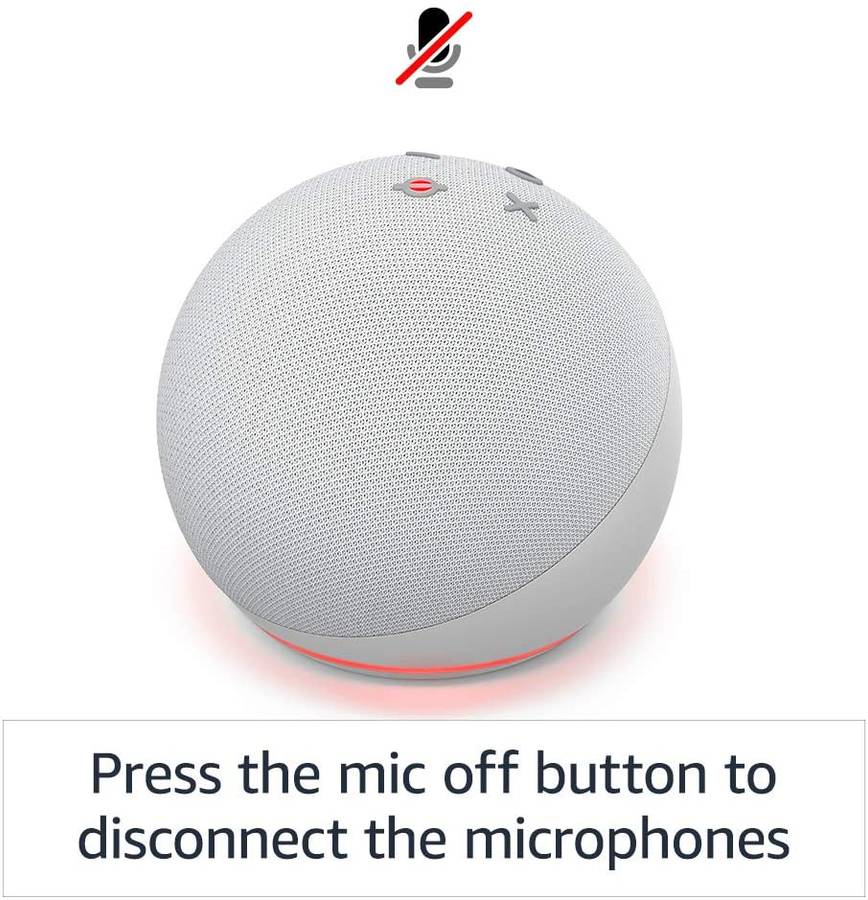 Echo Dot (4th Gen) Kids Edition | Designed for kids, with parental controls | Panda