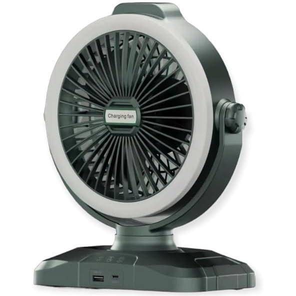 SHAKE-HEAD FAN