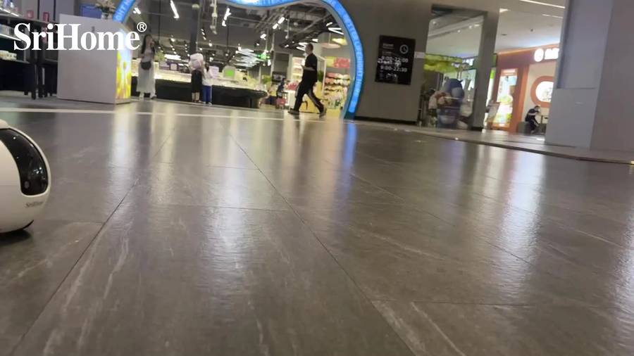 Srihome DH013 Mobile Intelligent Robot Camera (10008996)