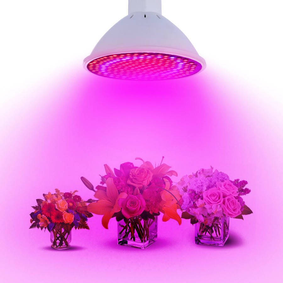 *LOCAL STOCK* 20W E27 LED Plant Grow Light Bulb