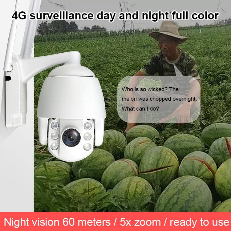 QX2 4G (EU Version) 1080P HD 360 Degrees Panoramic Day and Night Full-color IP66 Waterproof Smart...