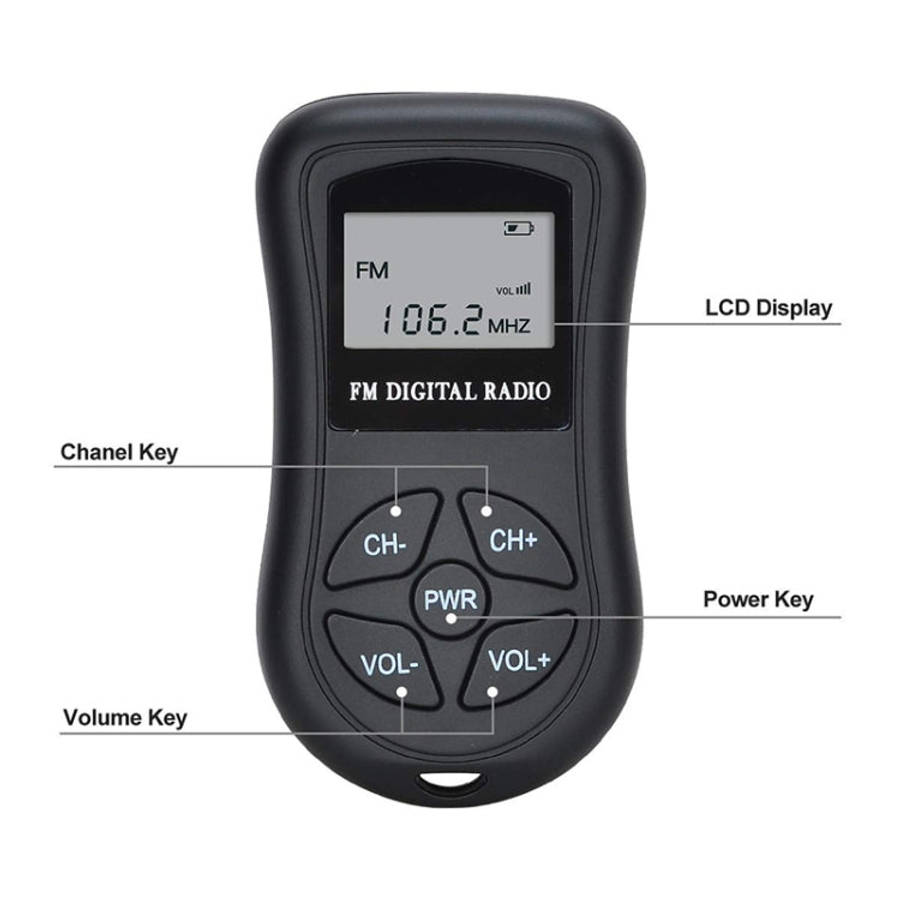 HRD-107 DSP Digital Display Portable Stereo FM Radio with Headset(Black)