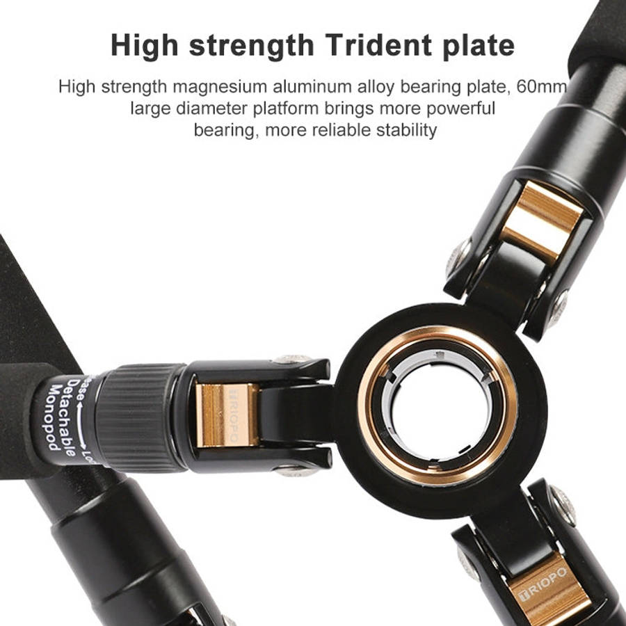 TRIOPO 554 Adjustable Portable  Aluminum Alloy Tripod with D-2A Ball Head for SLR Camera
