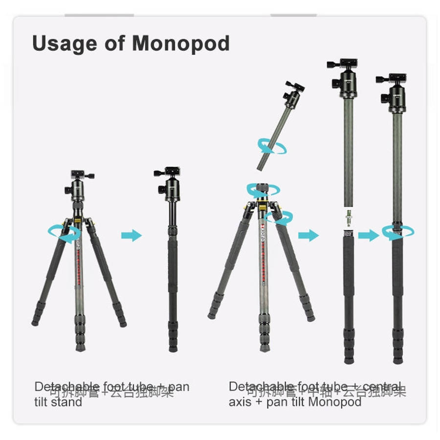 TRIOPO 853 Adjustable Portable Carbon Fiber Tripod with D2-A Ball Head for SLR Camera