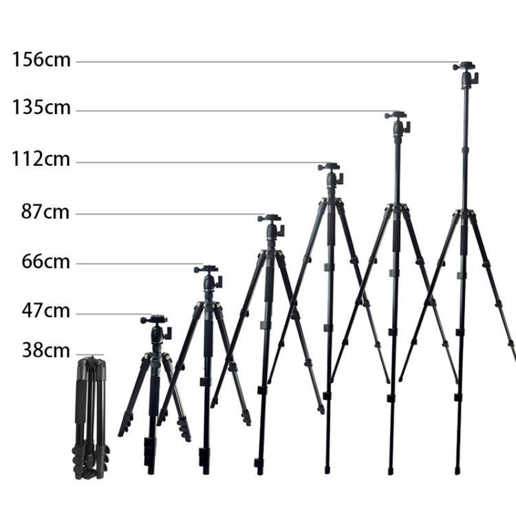 Bexin MS11 Portable Flexible Photographic Tripods for Smart Phone DSLR Slr Camera Camcorder DV