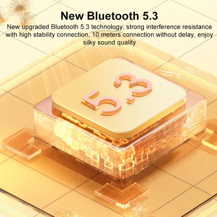 WK D43 Mini Karaoke Bluetooth Speaker(Black)