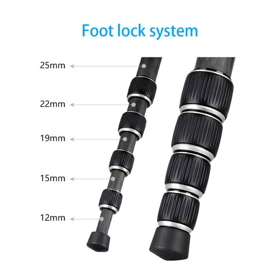 BEXIN BX255C K30 Portable Carbon Fiber Tripod for Camera Dslr