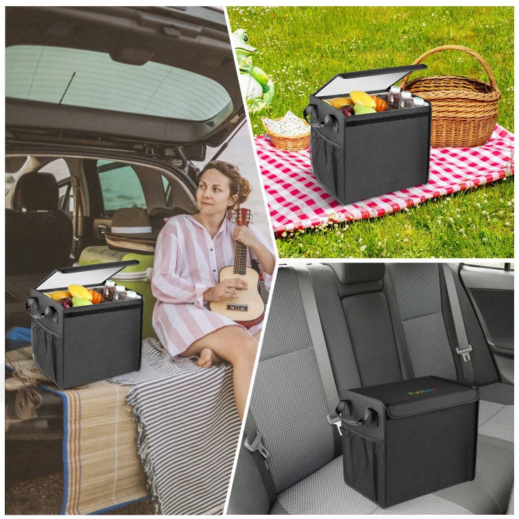 FunAdd Foldable Storage Fresh Box Vehicle Trunk Organizer Bag (Black)