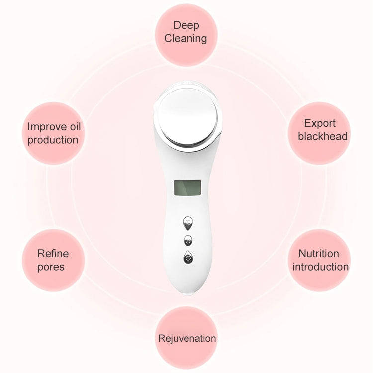 Multi-functional Household Beauty and Body Apparatus Facial Ion Importer (Pink)