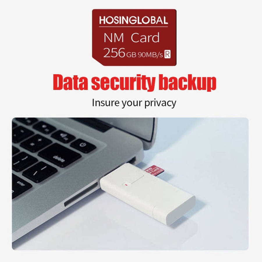 HOSINGLOBAL 90MB/s 256GB NM Card
