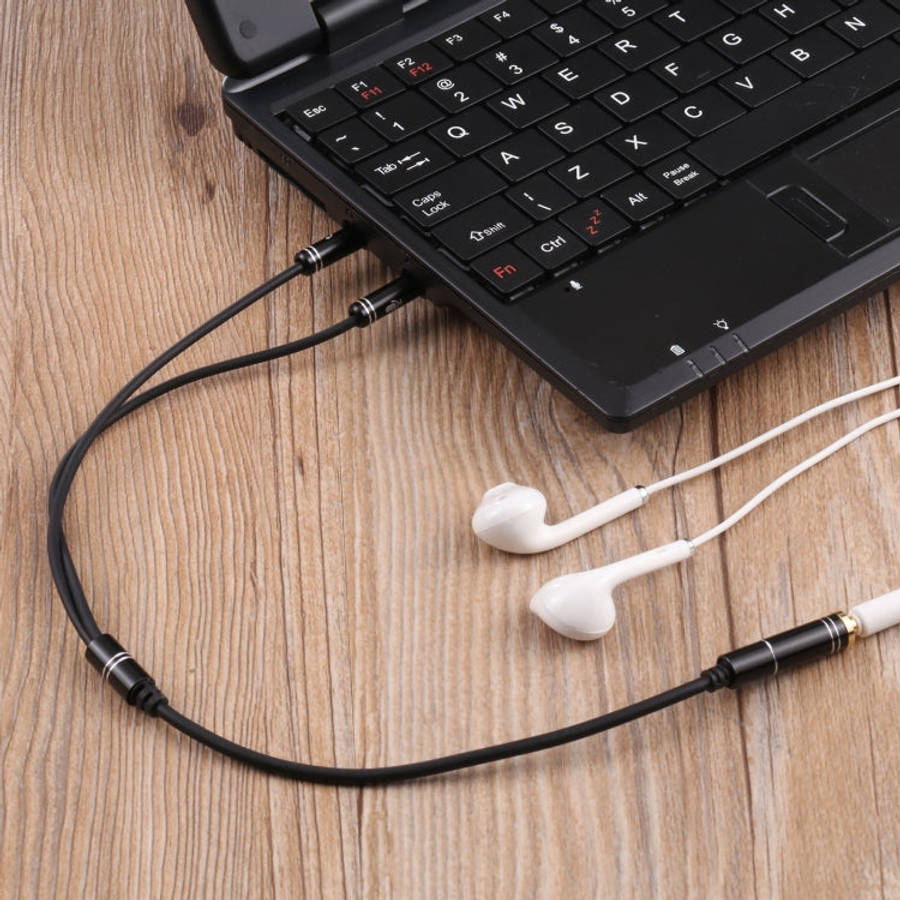 3.5mm Female to 2 x 3.5mm Male Adapter Cable(Black)