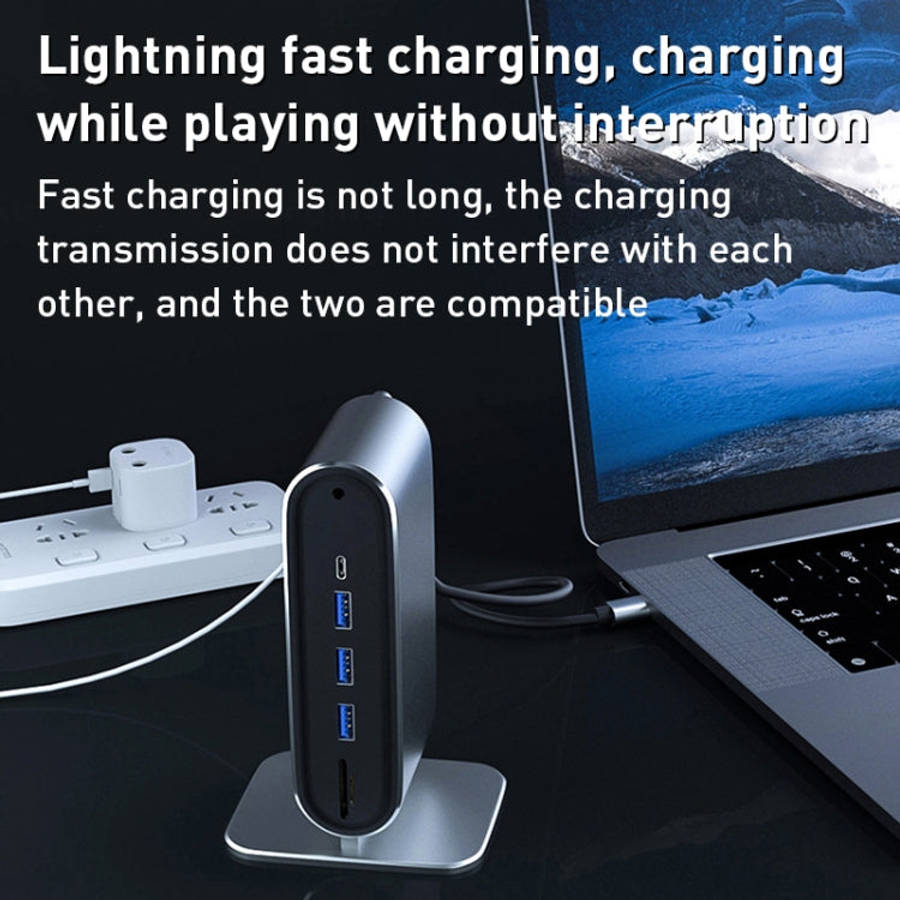 BYL-2201 12 in 1 USB-C / Type-C HUB Adapter
