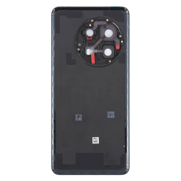For OnePlus 13 CPH2655 CPH2653 PJZ110 Original Glass Battery Back Cover with Camera Lens(Matte Bl...