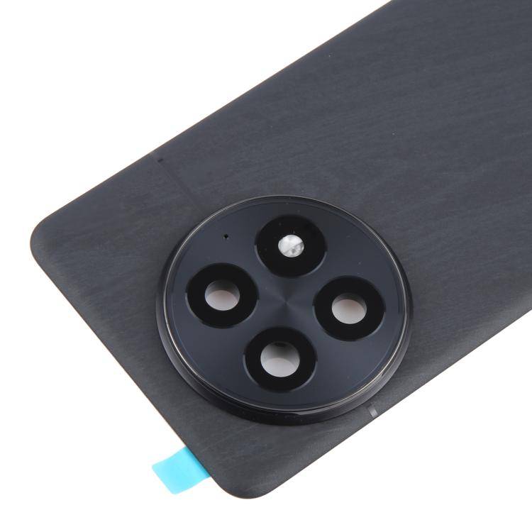 For OnePlus 13 CPH2655 CPH2653 PJZ110 Original Glass Battery Back Cover with Camera Lens(Matte Bl...