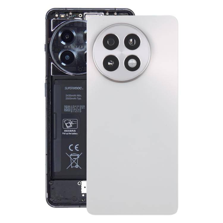 For OnePlus 13R CPH2645 CPH2691 CPH2647 Original Glass Battery Back Cover with Camera Lens(Matte ...