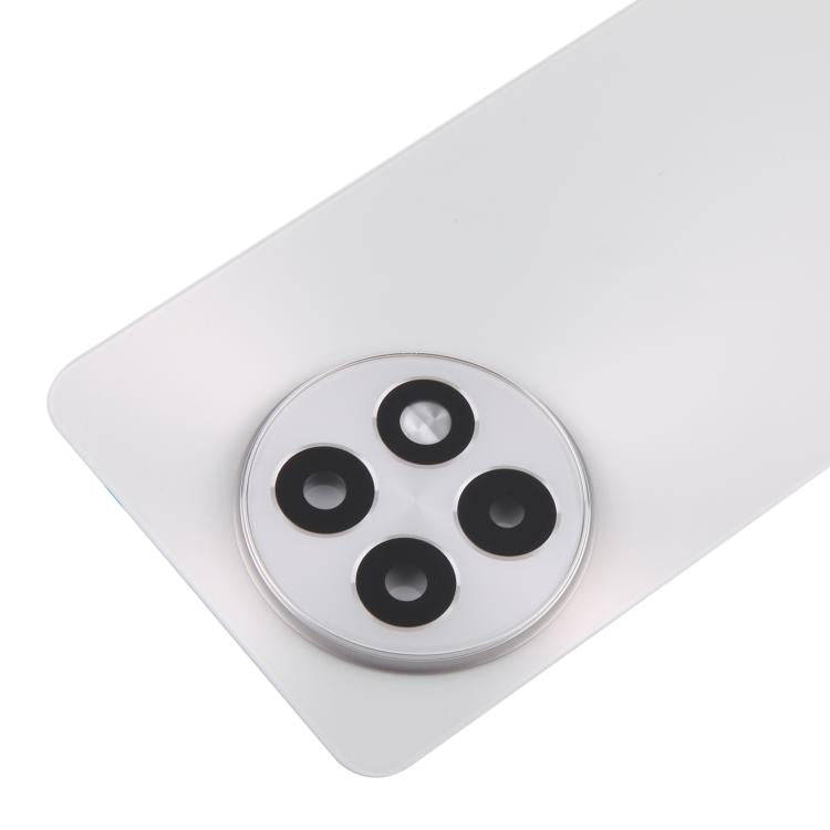 For OnePlus 13R CPH2645 CPH2691 CPH2647 Original Glass Battery Back Cover with Camera Lens(Matte ...