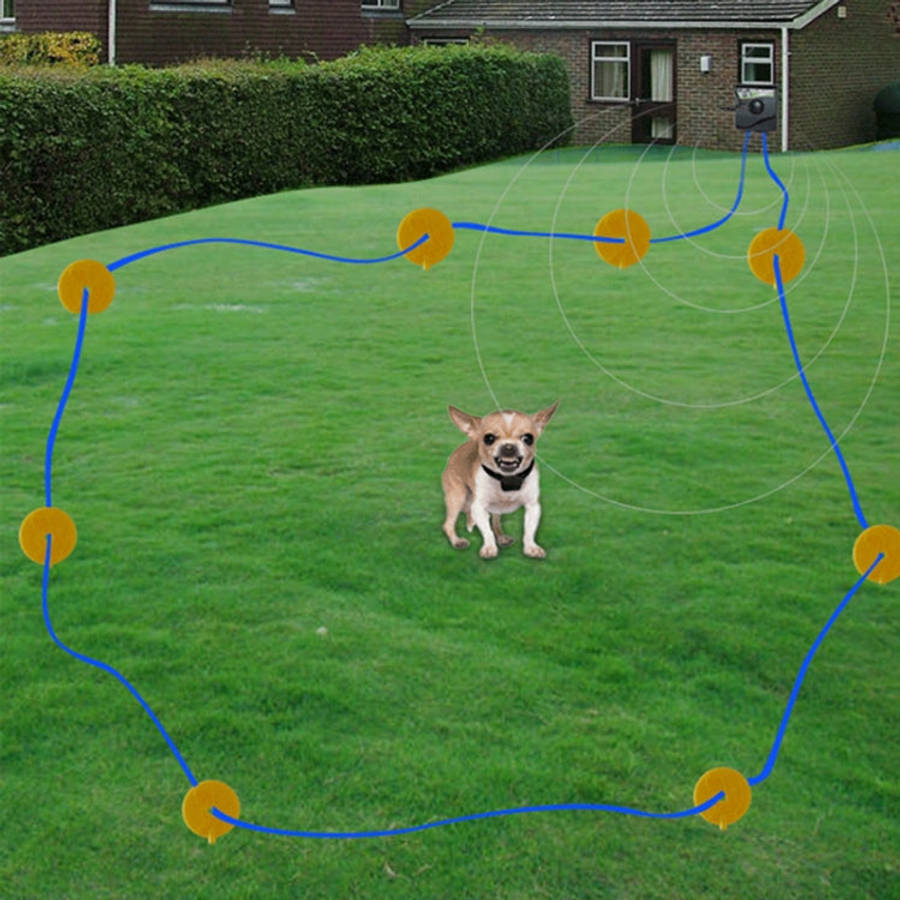 W-227 Electric Fencing Collar System for Pet Dog Cat