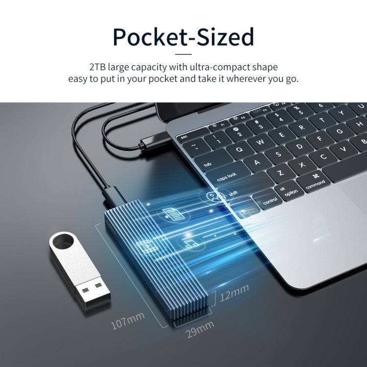 ORICO M2PJM-C3 M.2 SSD Dual Protocol Hard Disk Case