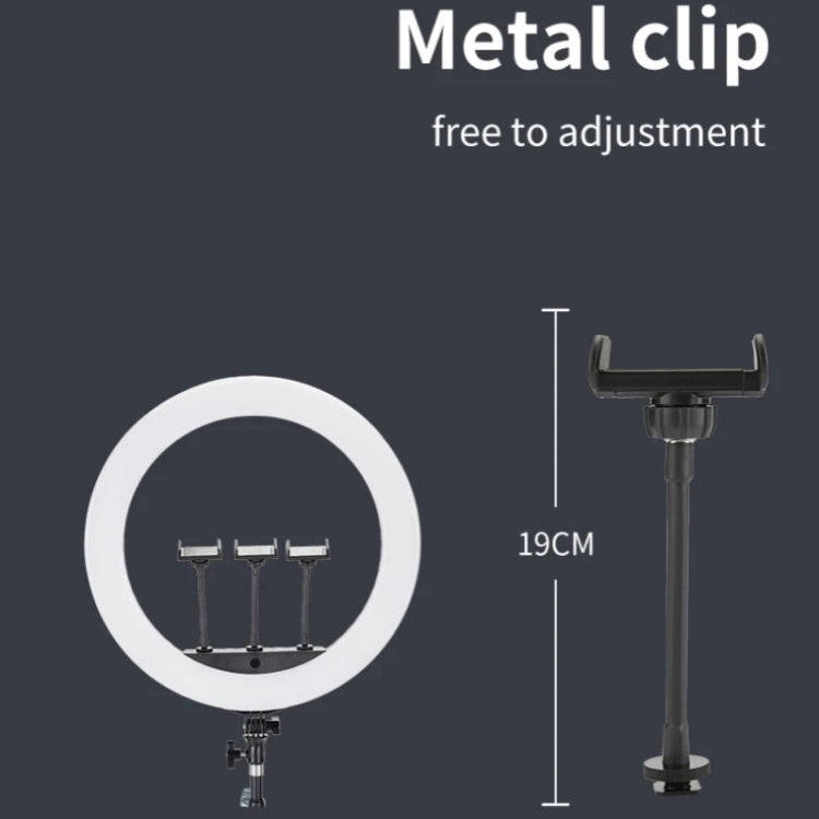 JMARY FM-21R With Remote Control Phone Clip 21-inch Dimmable LED Ring Light(US Plug)