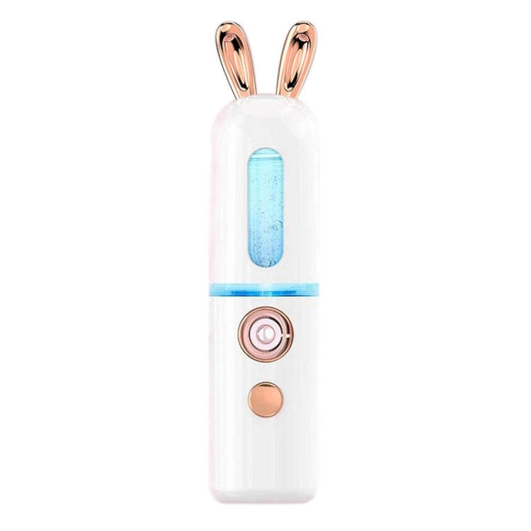 Facial Steamer Nano Spray Water Replenishing Instrument Portable Cold Spray Machine Charging Beau...