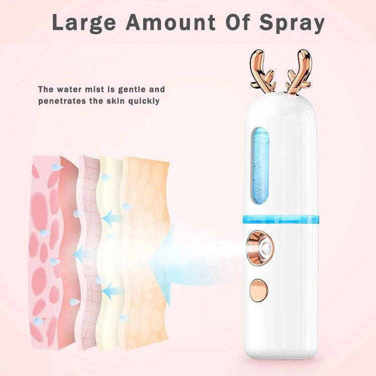Facial Steamer Nano Spray Water Replenishing Instrument Portable Cold Spray Machine Charging Beau...