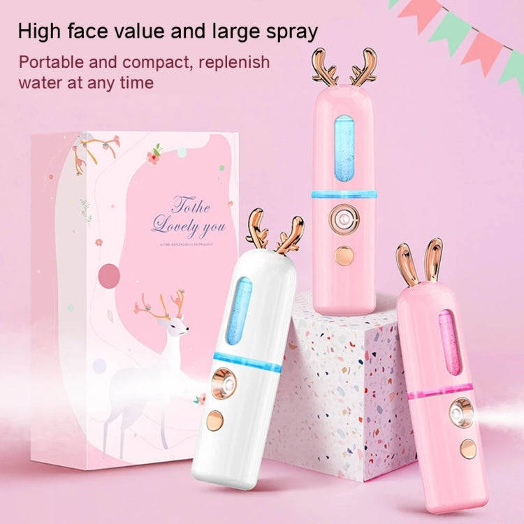 Facial Steamer Nano Spray Water Replenishing Instrument Portable Cold Spray Machine Charging Beau...