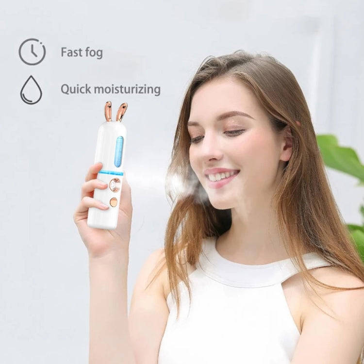 Facial Steamer Nano Spray Water Replenishing Instrument Portable Cold Spray Machine Charging Beau...