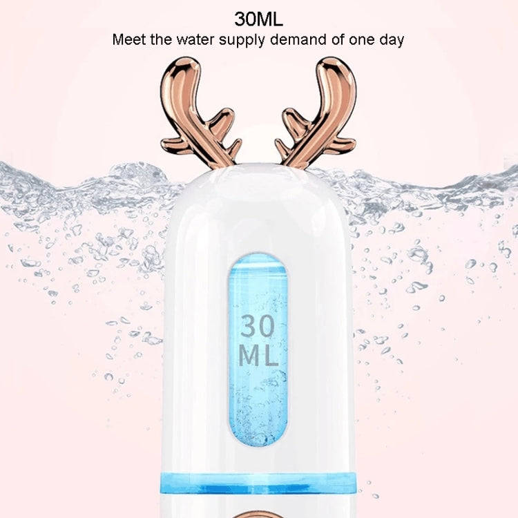 Facial Steamer Nano Spray Water Replenishing Instrument Portable Cold Spray Machine Charging Beau...