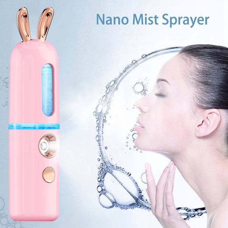 Facial Steamer Nano Spray Water Replenishing Instrument Portable Cold Spray Machine Charging Beau...