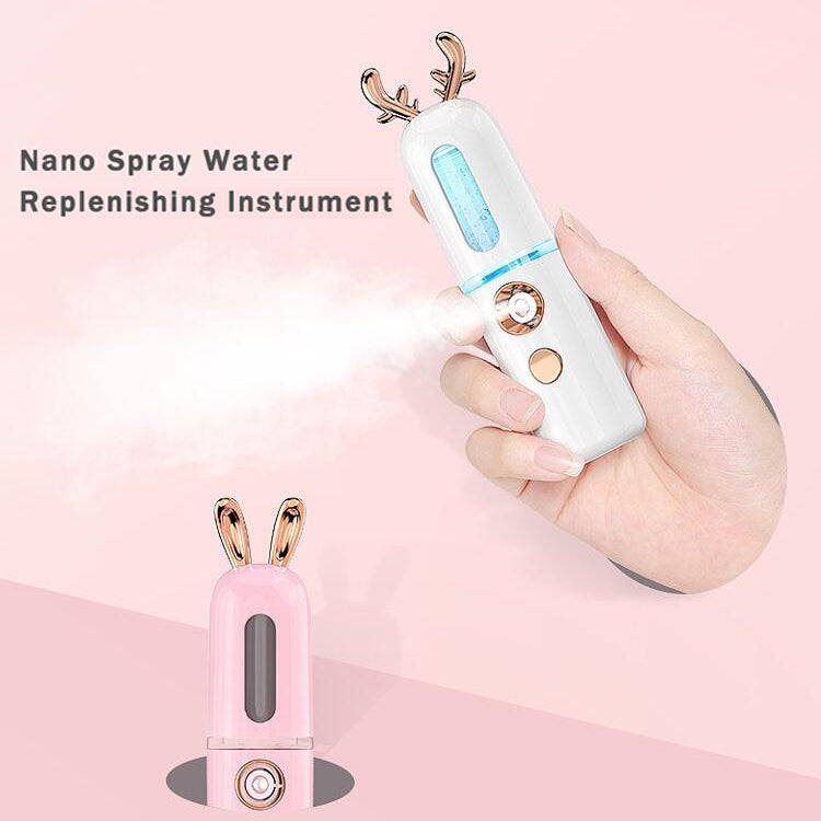 Facial Steamer Nano Spray Water Replenishing Instrument Portable Cold Spray Machine Charging Beau...