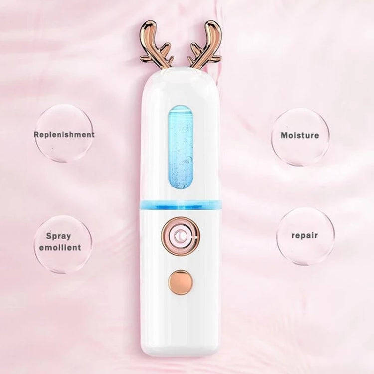 Facial Steamer Nano Spray Water Replenishing Instrument Portable Cold Spray Machine Charging Beau...